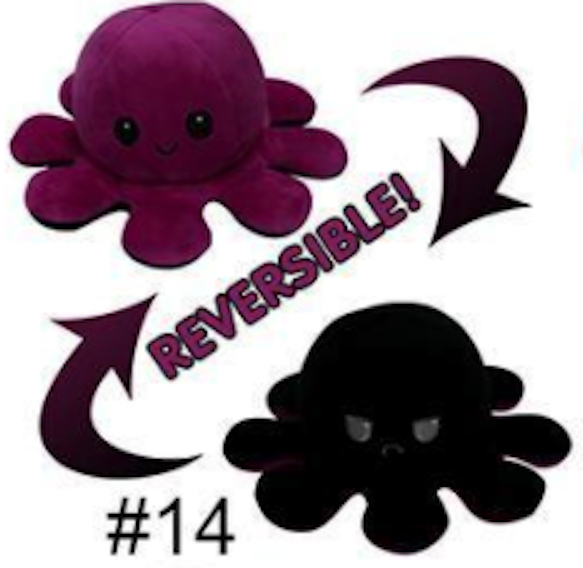 sd 2021-01-20 at 11.41.05