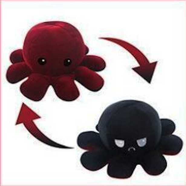 sd 2021-02-08 at 13.57.55